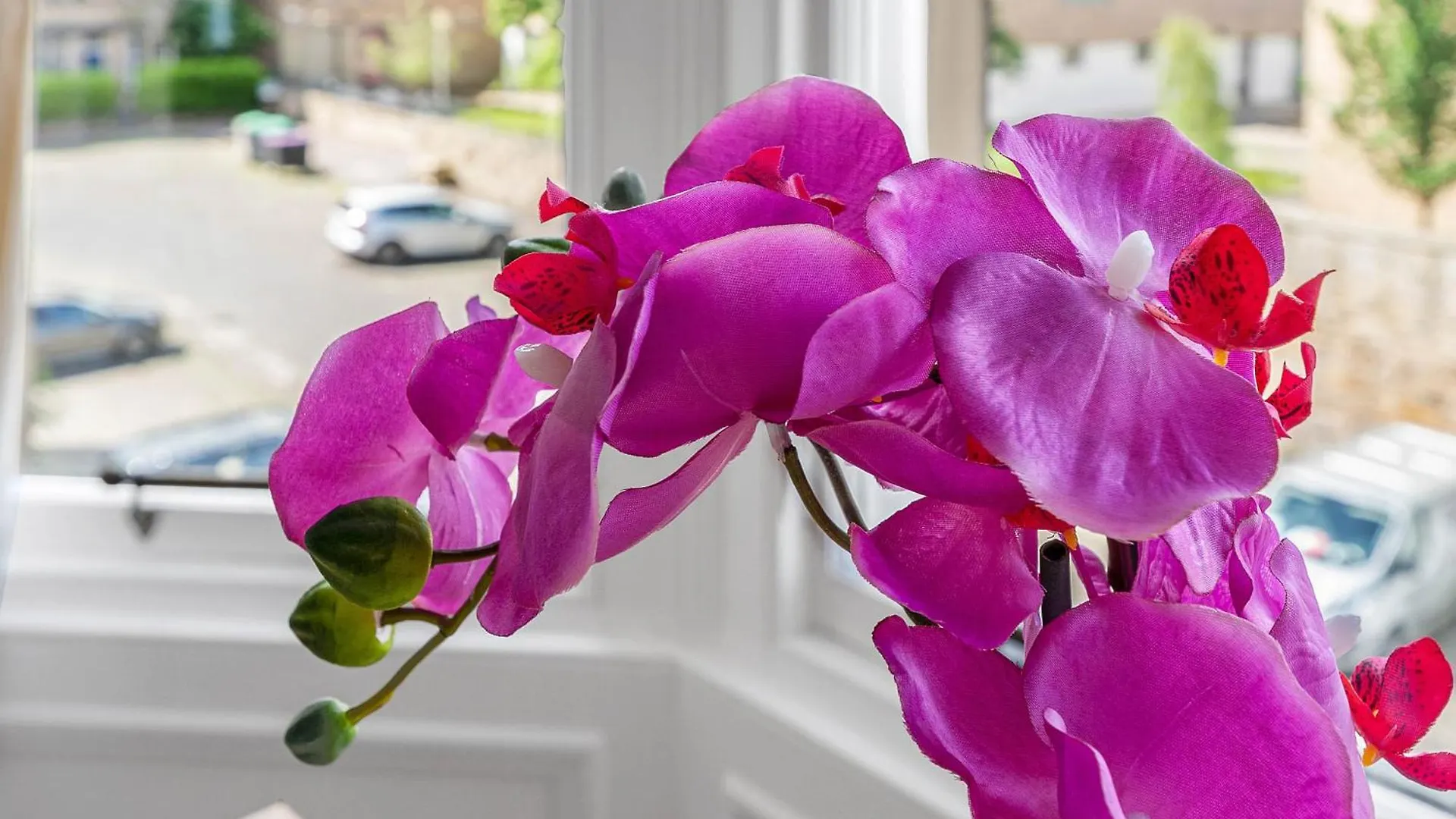 Marchmont Traditional Apartments Edimburgo